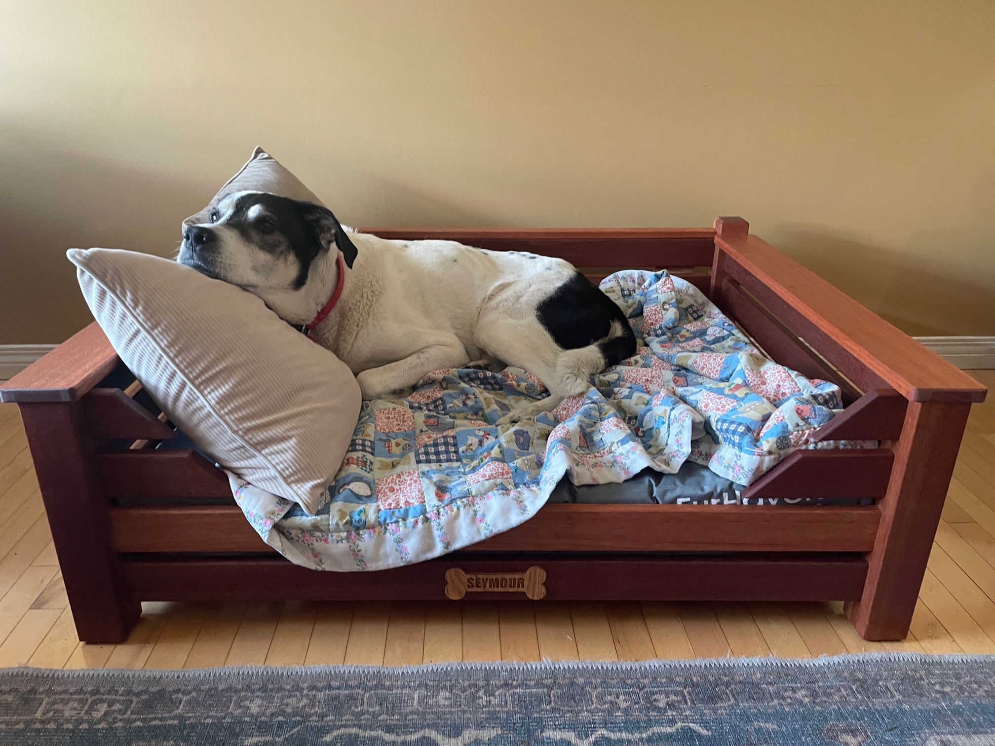 Custom Outdoor/Indoor Dog Bed